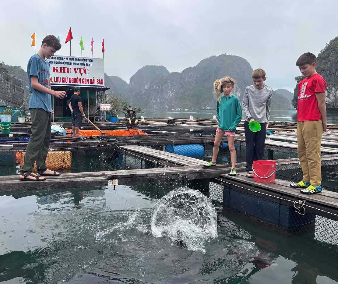 The kids loved feeding the fish at the floating fish farm. These are an important part of Vietnam's economy.