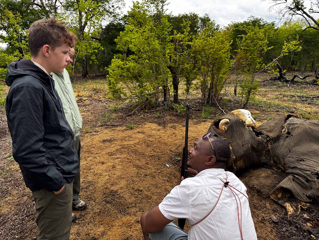 Our guide Kingsley, showing us a long-deceased elephant. Because the hide is so thick, all the elephant juice stays inside and acidifies. When the corpse finally ruptures, all the plants in the area are killed and nothing else can grow there for up to 2 years.