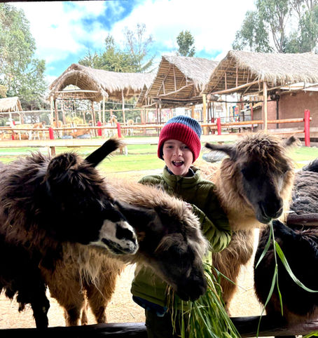 El Valle Sagrado - Part Two