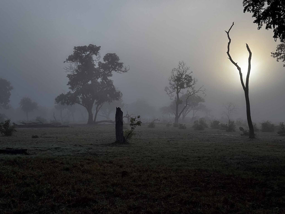 Misty morning in camp.