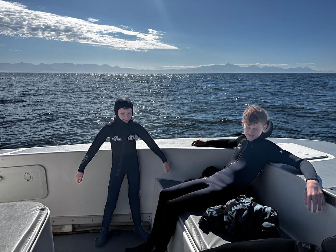 Preparing to dive with Bronze Whaler Sharks.