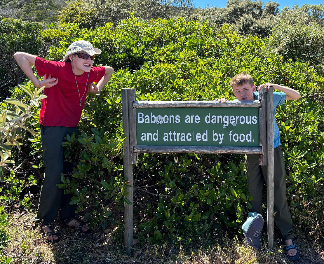 Wild animals running rampant at the Cape of Good Hope.