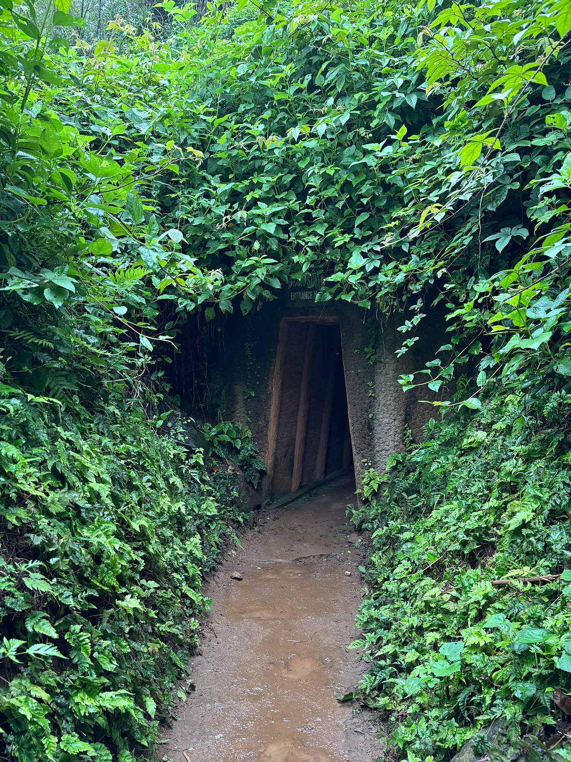 As we travelled to Hoi An, we stopped to see the Vinh Moc tunnels where an entire village moved underground during the Vietnam war to escape heavy US bombing (a total of 7 tons of bombs per resident). This was an important stronghold for the Communist Viet Minh fighters as well as a place for villagers to hide during bombing raids.